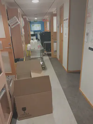 chaos